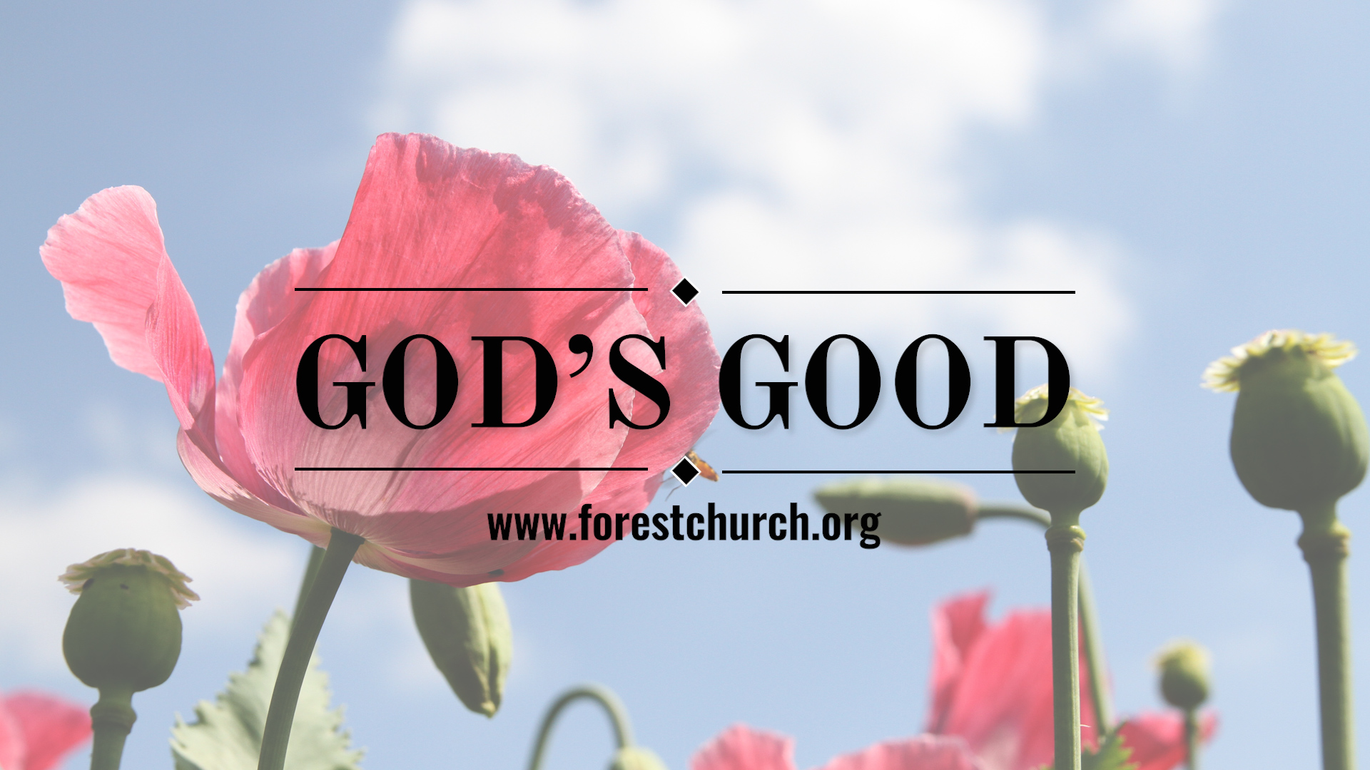 God’s Good